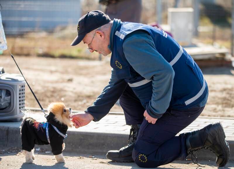 A man pets a dog as Ukrainian refugees cross into Moldova, near the village of Palanca. EPA