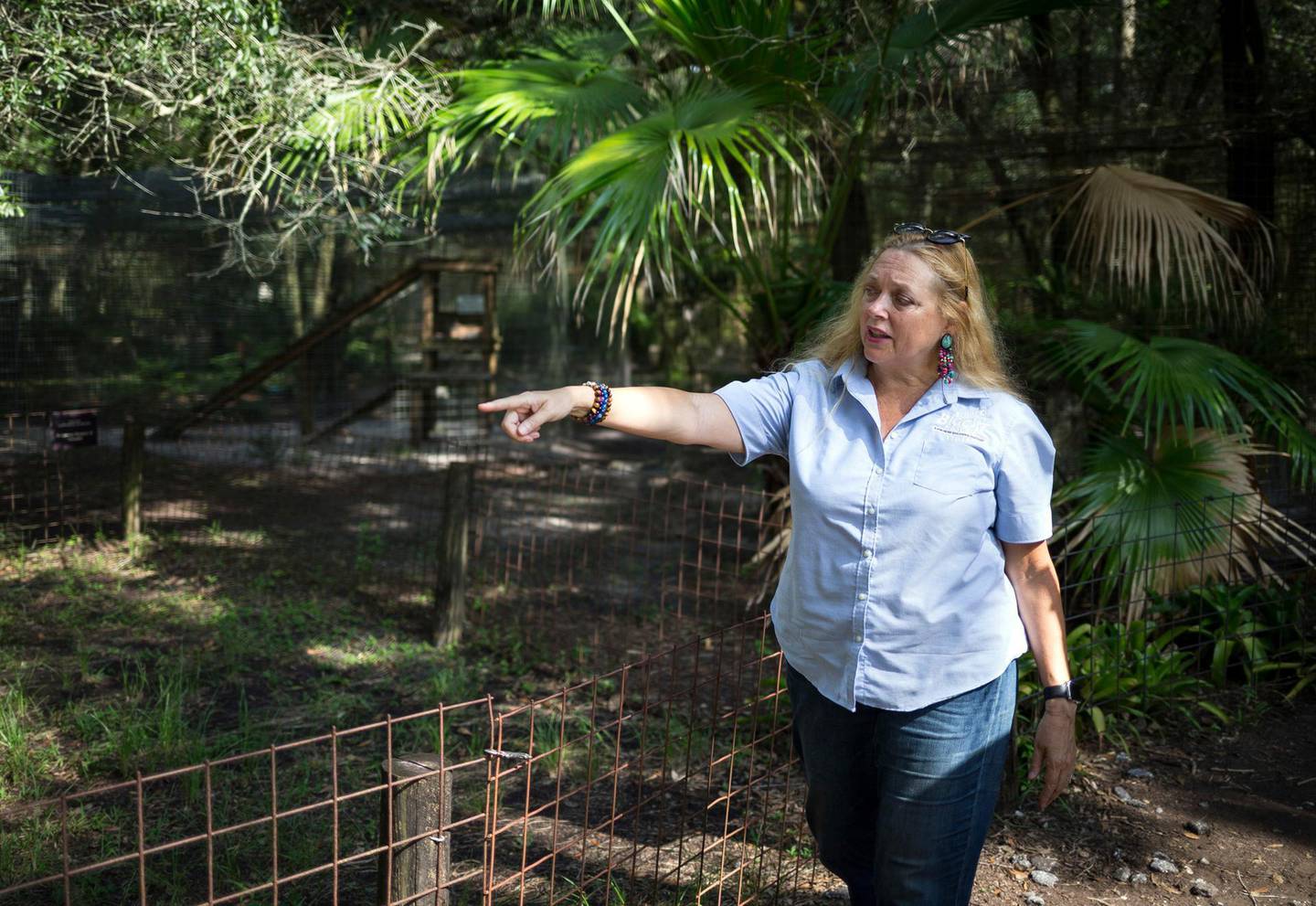 FILE - In this July 20, 2017 file photo, Carole Baskin, founder of Big Cat Rescue, walks the property near Tampa, Fla. Baskin was married to Jack â€œDonâ€ Lewis, whose 1997 disappearance remains unsolved and is the subject of a new Netflix series â€œTiger King.â€ (Loren Elliott/Tampa Bay Times via AP, File)