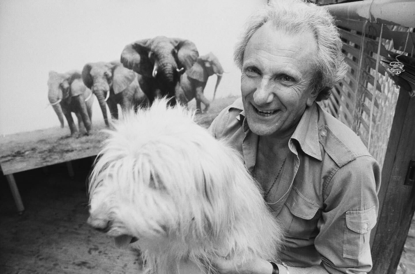 David Shepherd, above in 1985, was best known for his paintings of African wildlife but was also a gifted portrait artist. Getty Images