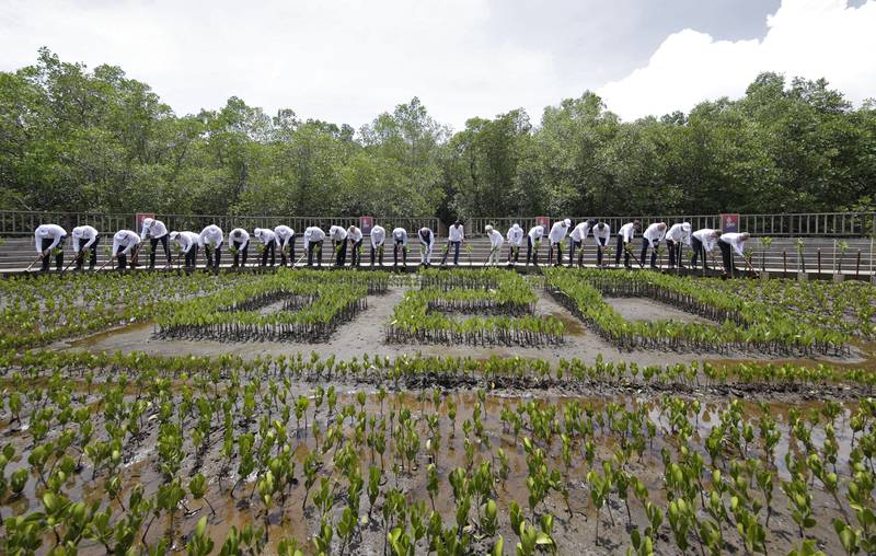 Leaders take part in a mangrove planting event at the Tahura Ngurah Rai Mangrove Forest Park. AP