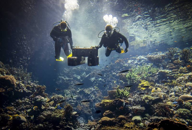 Divers assemble a piece of a biodegradable material with several coral colonies on it, in the tropical reef of Burgers' Ocean in Arnhem, the Netherlands. EPA