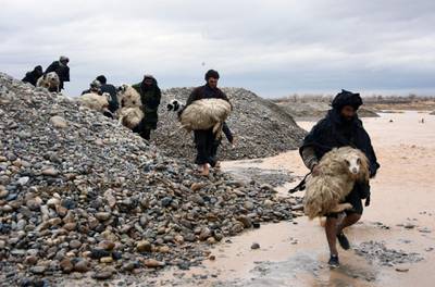 Afghan villagers carry sheep along a flood affected area in Arghandab district of Kandahar province. AFP