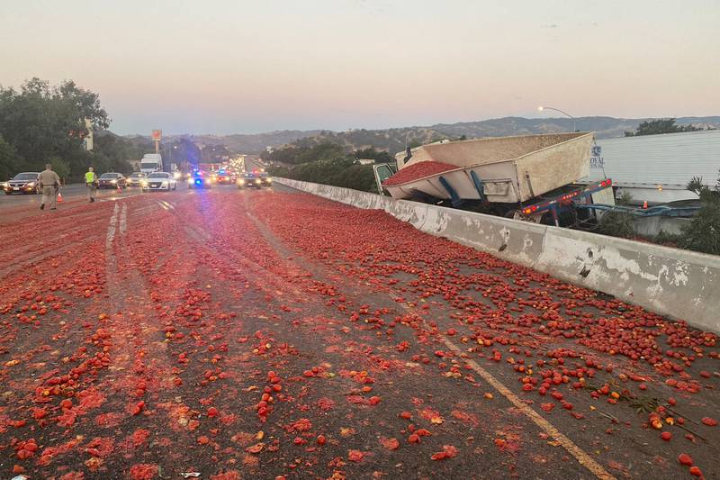 Tomatoes cover a motorway after a crash caused the contents of a lorry to spill across the central divide in Vacaville, California. Reuters