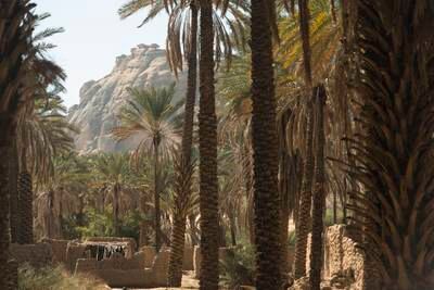 Film AlUla has a special committee to ensure the preservation of protected sites
