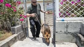 Authorities evict tenants from villa community in Dubai for illegal pet trading