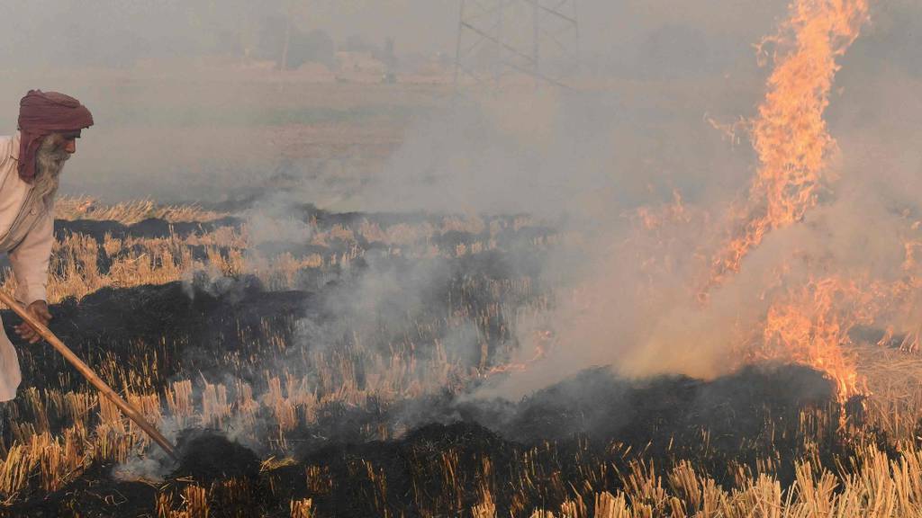'The National' visits India's burning farms blamed for Delhi's toxic air pollution