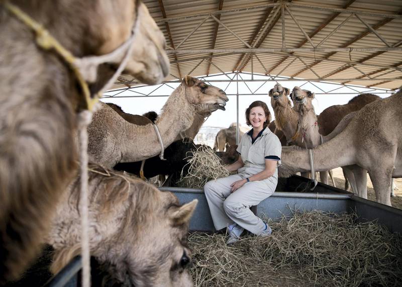 DUBAI, UNITED ARAB EMIRATES. 25 JANUARY 2021. Dr Lulu Skidmore, scientific director at the Camel Reproduction Centre. (Photo: Reem Mohammed/The National)Reporter:Section: