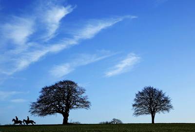 Racehorses are seen early mormimg on the gallops at Upper Lambourn, southern England. Eddie Keogh / Reuters