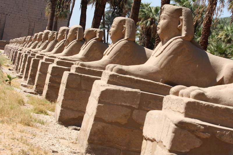 Sphinxes line Sphinx Avenue in front of Luxor Temples in Luxor, Egypt.  September 24, 2008. Photo: Victoria Hazou for the National