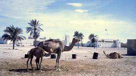 Timeframe: Go fort and visit Qasr Al Hosn in 2018