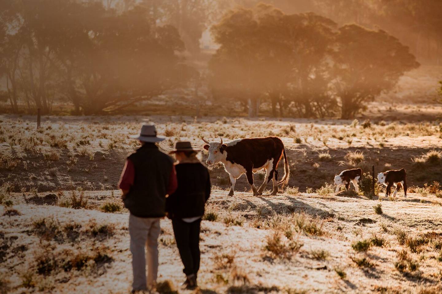 Spending New Year on a farm was the most popular 'unique stay' on Airbnb this new year. Photo: Airbnb