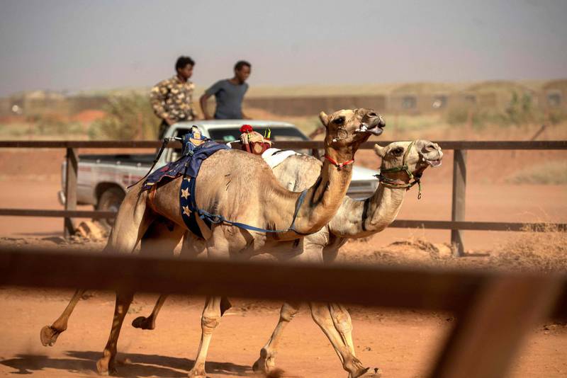 Sudanese youths watch a camel race from the back of a truck, at a track near al-Ikhlas village in the west of the city of Omdurman. The race is organised by traditionally camel-rearing tribal families from the village as a way to preserve and celebrate their heritage. AFP