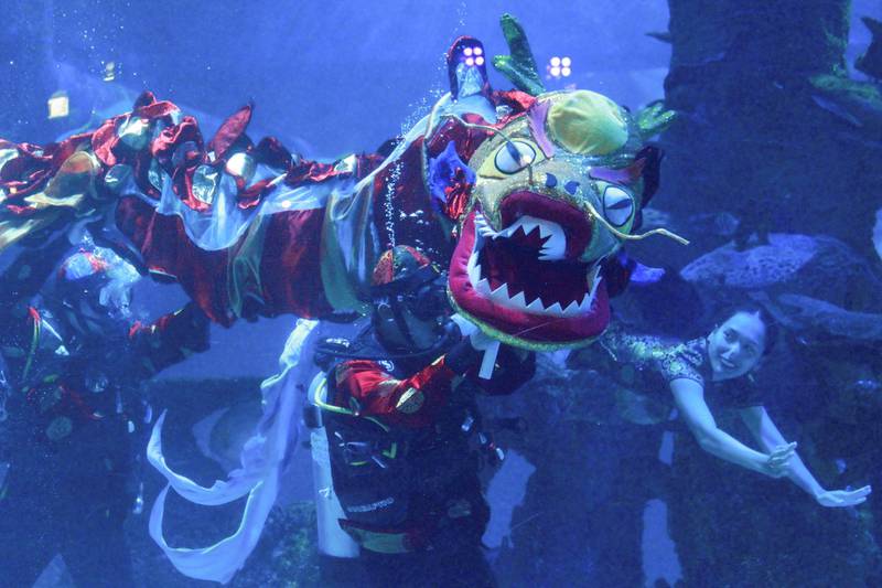 Divers perform an underwater dragon and mermaid show during Chinese Lunar New Year celebrations at an aquarium in Jakarta, Indonesia. Reuters
