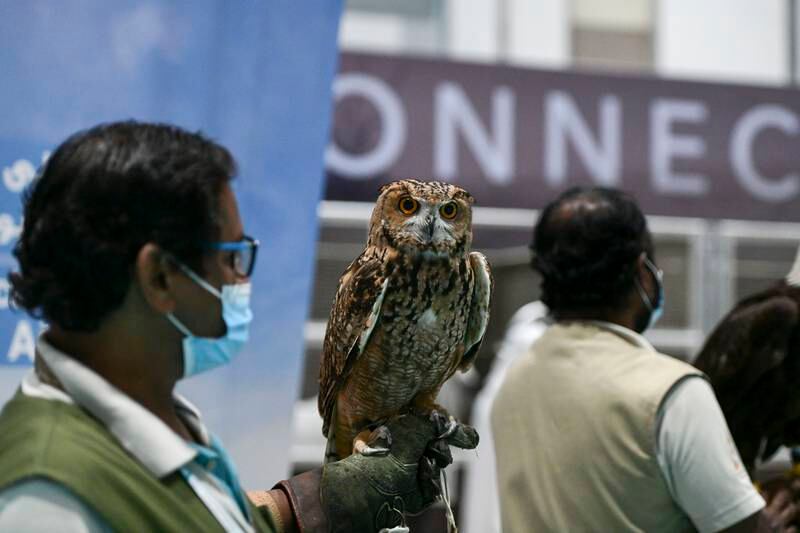 Al Ain Zoo sent an owl to ADIHEX. 