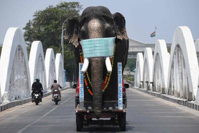 A replica of an elephant with a facemask is driven on a trailer pulled by a car to bring  awareness during a one-day Janata (civil) curfew imposed by the government in Chennai, India.   AFP
