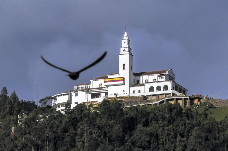 A pigeon flies next to Monserrat Mountain in Bogota on July 22 2016. (Photo by Luis Acosta / AFP)