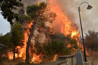 A view of bush fires in Mechref area south Beirut, Lebanon. According to reports, 18 people were admitted to hospitals for treatment following multiple wildfires. EPA
