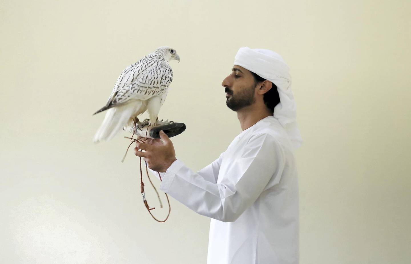 DUBAI , UNITED ARAB EMIRATES , November 26  – 2018 :- Mohammed Al Kamda with his falcon ‘Dana’ at the hatching area at his farm in Al Awir in Dubai. ( Pawan Singh / The National ) For News. Story by Nick Webster