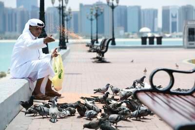 A man feeds pigeons as temperatures rise in Abu Dhabi. Khushnum Bhandari / The National
