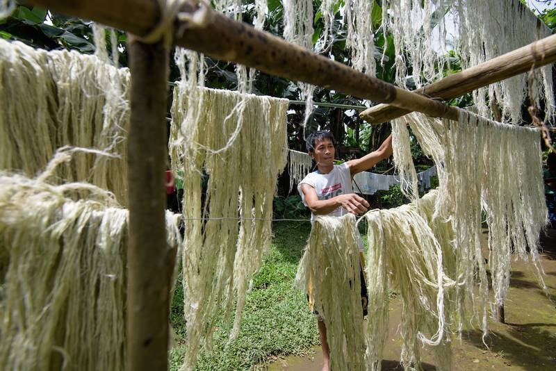 5. Drying of the fibres.
