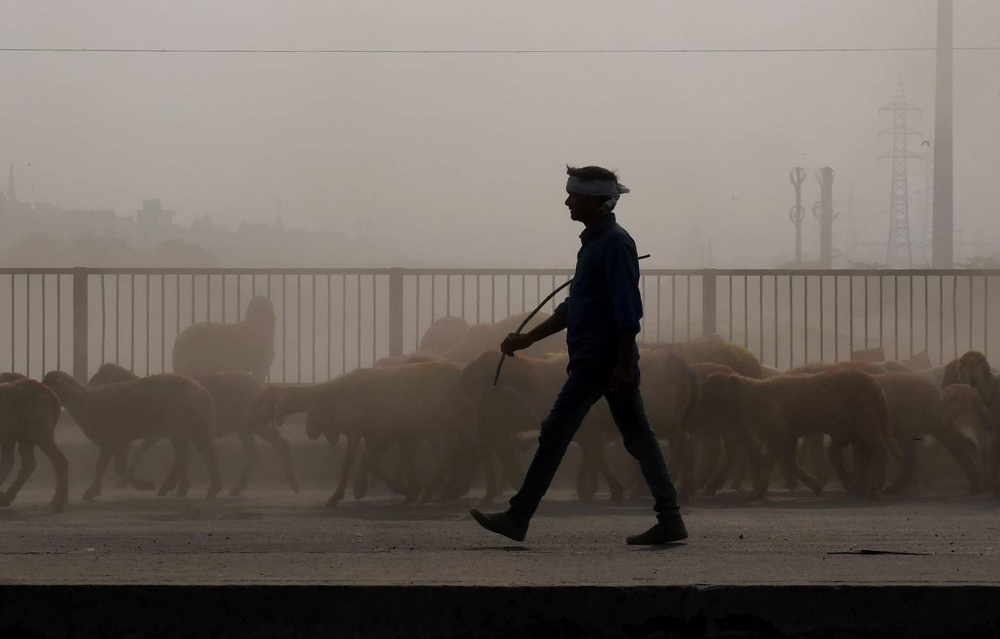 An Indian shepherd walks along his herd of sheep amidst heavy smog conditions in New Delhi on November 12, 2018. Air pollution in New Delhi hit hazardous levels on November 8 after a night of free-for-all Diwali fireworks, despite Supreme Court efforts to curb partying that fuels the Indian capital's toxic smog problem. / AFP / Money SHARMA

