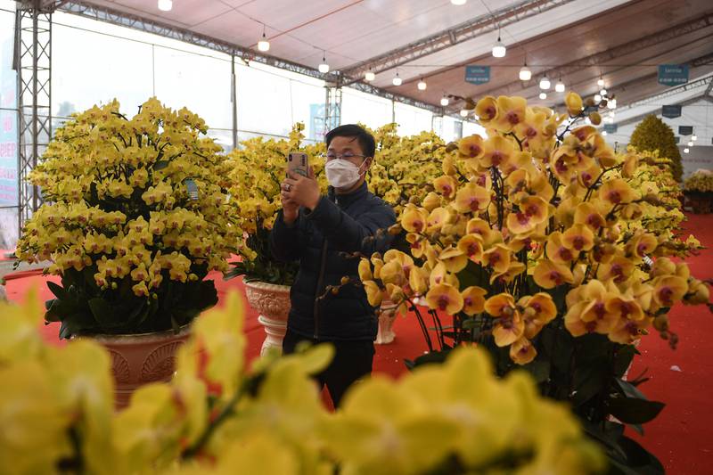 A man uses his mobile phone to take photos at a makeshift shop selling plants for celebrations for Tet, as the Lunar New Year is referred to in Vietnam, in Hanoi. AFP
