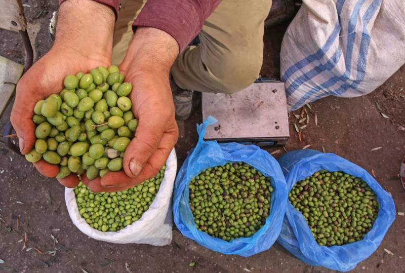 A Palestinian man holds olives for sale at a market in Khan Yunis in the southern Gaza Strip.  AFP