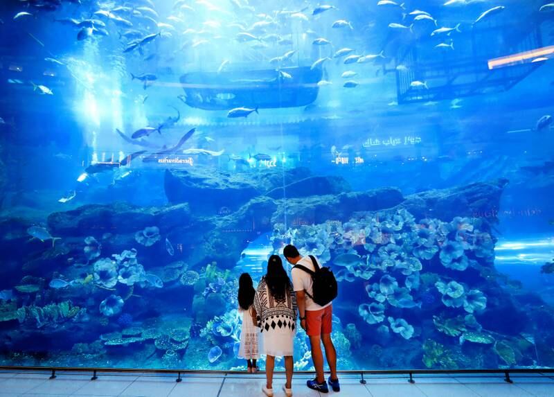 The aquarium at Dubai mall draws a huge number of visitors every year. Chris Whiteoak / The National