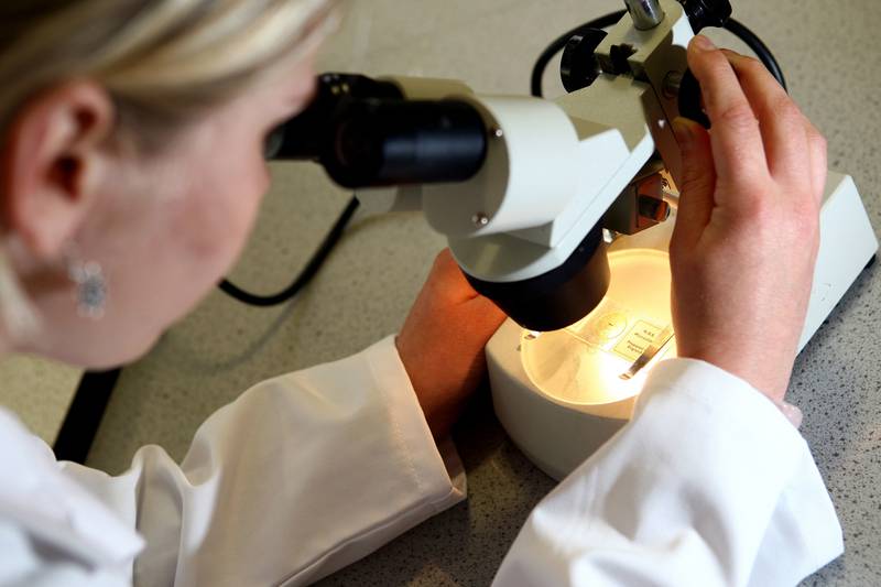 File photo dated 19/05/08 of a woman looking through a microscope. Researchers have reversed ageing in human skin cells by 30 years, according to a new study. Scientists say they have developed a method to time jump human skin cells by three decades longer than previous reprogramming methods, rewinding the ageing clock without the cells losing their function. Issue date: Friday April 8, 2022. PA