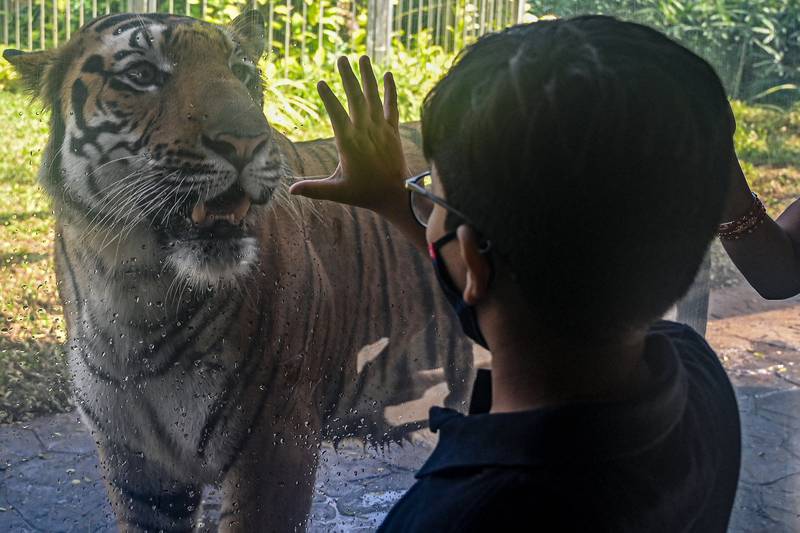 Shakti gets up close and personal with a boy behind glass. AFP