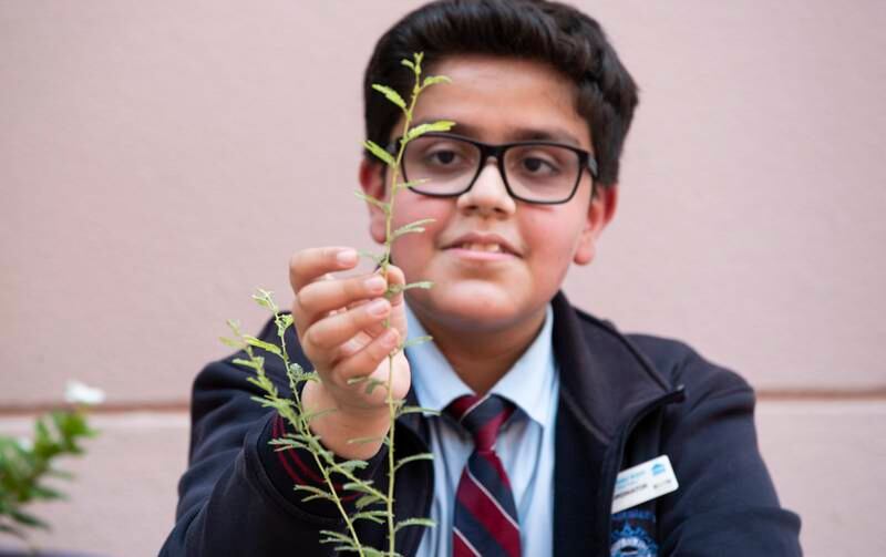 Mir Faraz holds the tree's first shoots.