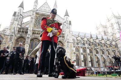 A soldier of the Staffordshire Regiment and his dog attend the 95th year of the Field of Remembrance at Westminster Abbey in London. AP