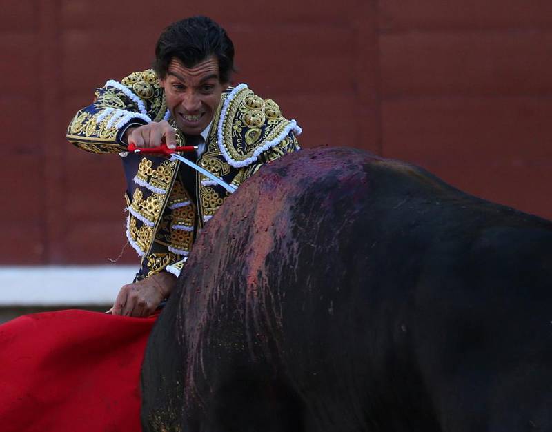 Spanish matador Curro DIaz kills a bull with a sword during a bullfight at the Ventas bullring in Madrid, Spain. Javier Barbancho / Reuters