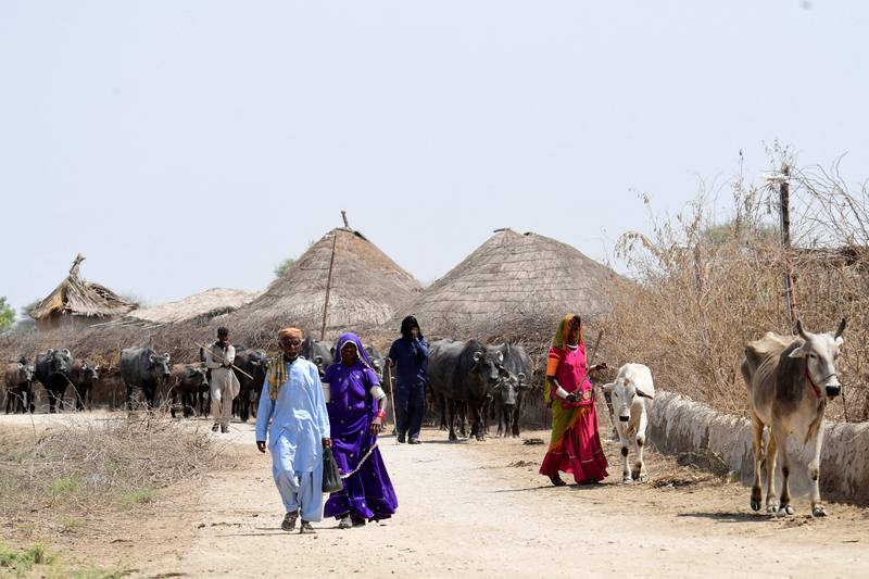 Pakistans ländliche Gemeinden leben an vorderster Front des Klimawandels.  AFP 
