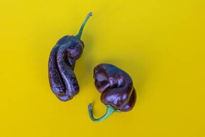 Perfectly edible and nutritious produce often goes to waste because it is misshapen. Enter the ugly food movement. Photo: HeroGo