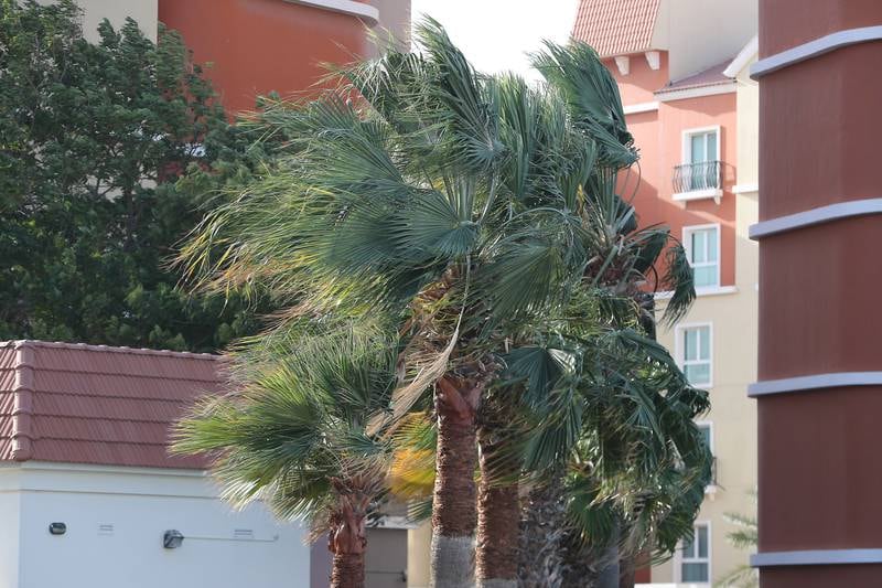Residents woke to breezy conditions on Friday.