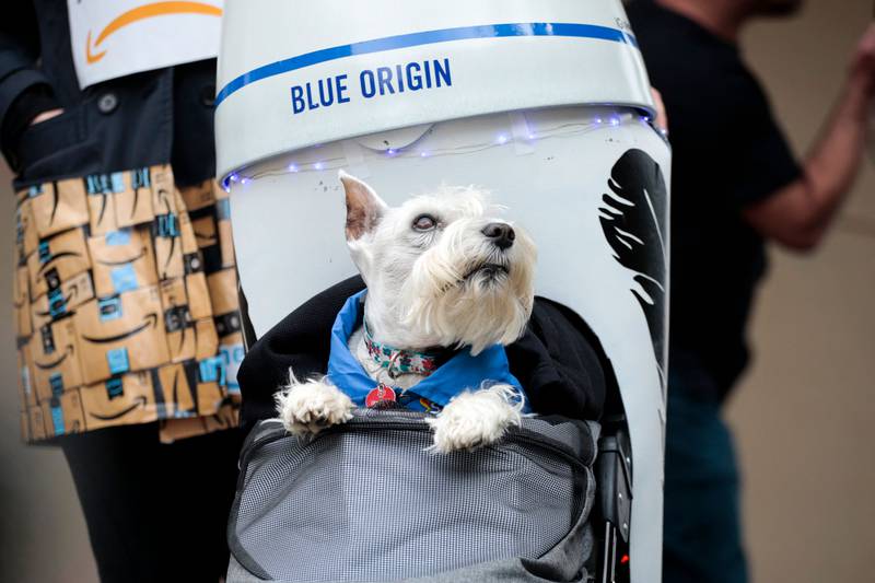A dog in a "Jeff Bezos going to space" costume attends the annual Tompkins Square Halloween Dog Parade at East River Park Amphitheater in New York on October 23, 2021.  (Photo by KENA BETANCUR  /  AFP)