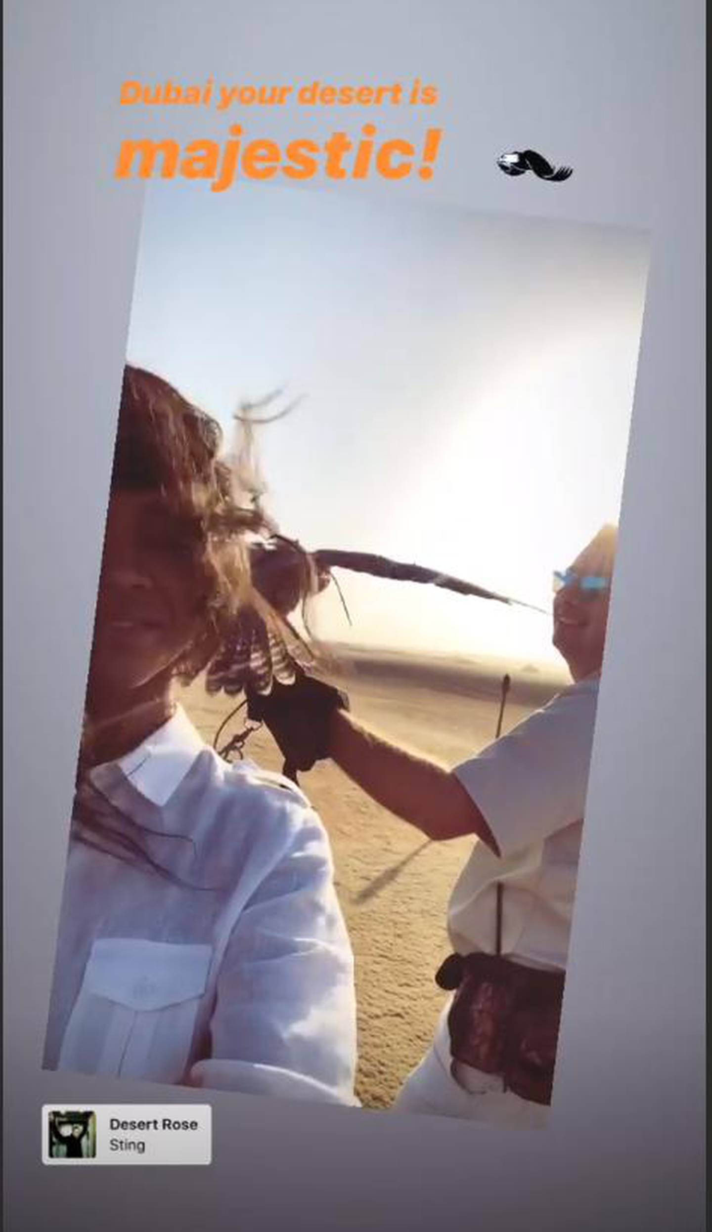 Actress Zoe Saldana posted an Instagram Story with a falcon from the Dubai desert. Instagram / Zoe Saldana 
