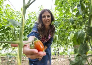 Elena Kinane checks on the tomatoes at her farm in Sharjah. Leslie Pableo for The National 