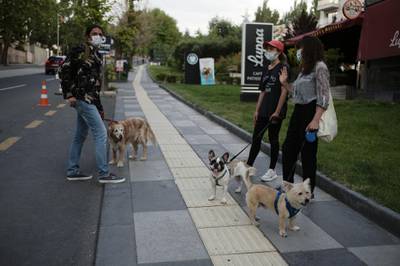 Dog owners speak along a deserted street in Ankara. Dog walking is permitted during lockdowns in Turkey. AP