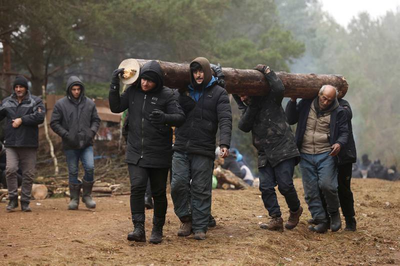 A group of migrants carry a tree trunk delivered by the Belarusian officials for firewood to a camp on the border in the Grodno region. AFP