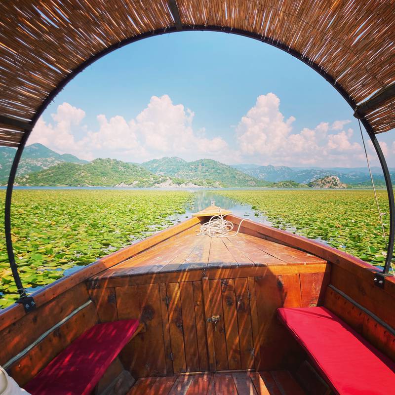 A picture perfect moment on Skadar Lake