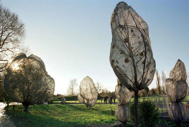 A few of the trees wrapped by Christo are seen in the Berower Parc in Riehen, Switzerland, in 1998, where the artist Christo and his wife, Jeanne-Claude, wrapped 163 trees surrounding the Beyeler art museum. EPA
