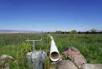 An untapped irrigation pipe at one of the tracts of land Janie VanWinkle and her family graze their cattle on.