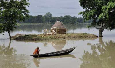 An Indian villager paddles a boat through floodwaters and past partially-submerged farmland at Buraburi village in the Morigaon district, Assam, India. Biju Boro / AFP