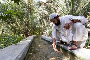 Al Ain, United Arab Emirates - Reporter: N/A: Shams dips his hands into the falaj at Al Ain Oasis. Tuesday, December 17th, 2019. Al Ain Oasis, Al Ain. Chris Whiteoak / The National