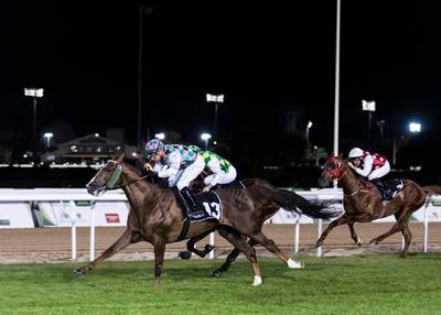 ABU DHABI, UNITED ARAB EMIRATES. 19 JANUARY 2020.Jockey Tadhg O'Shea on RMMAS (FR) 7 yrs,Owner: Shka Fatima bint Mansour Al NahyanTrainer:J de Roüallewins HH The President Cup Prep at Abu Dhabi Equestrian Club(Photo: Reem Mohammed/The National)Reporter:Section: