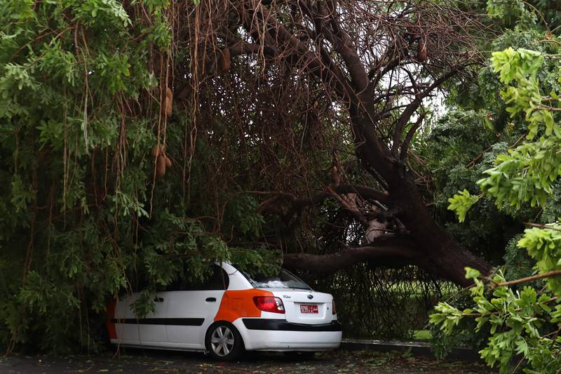 A car hit by a fallen tree during the storm. AFP