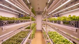 UK prisoners helped to turn over new leaf with vertical farming scheme
