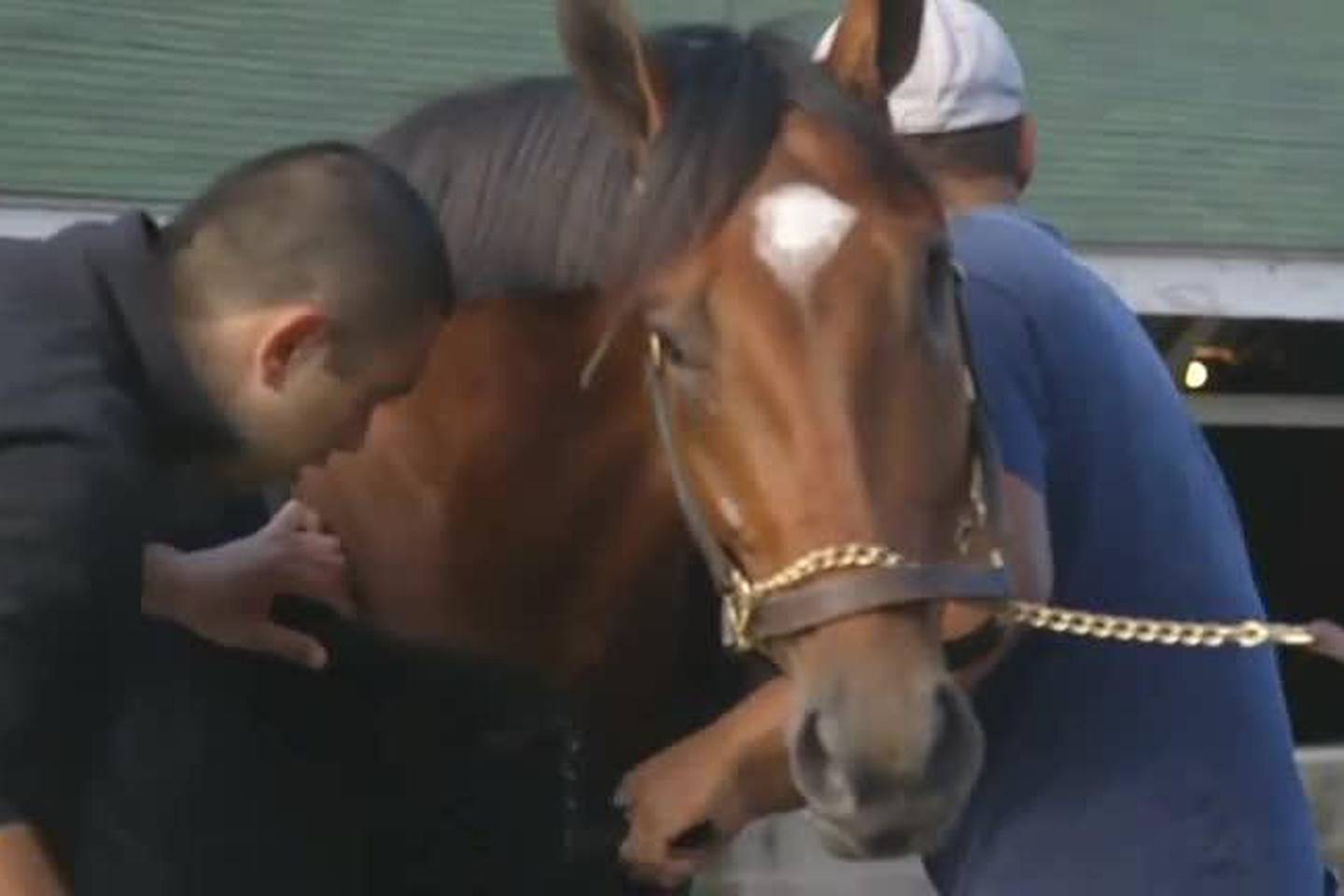One-eyed horse ready to race at the Kentucky Derby - video